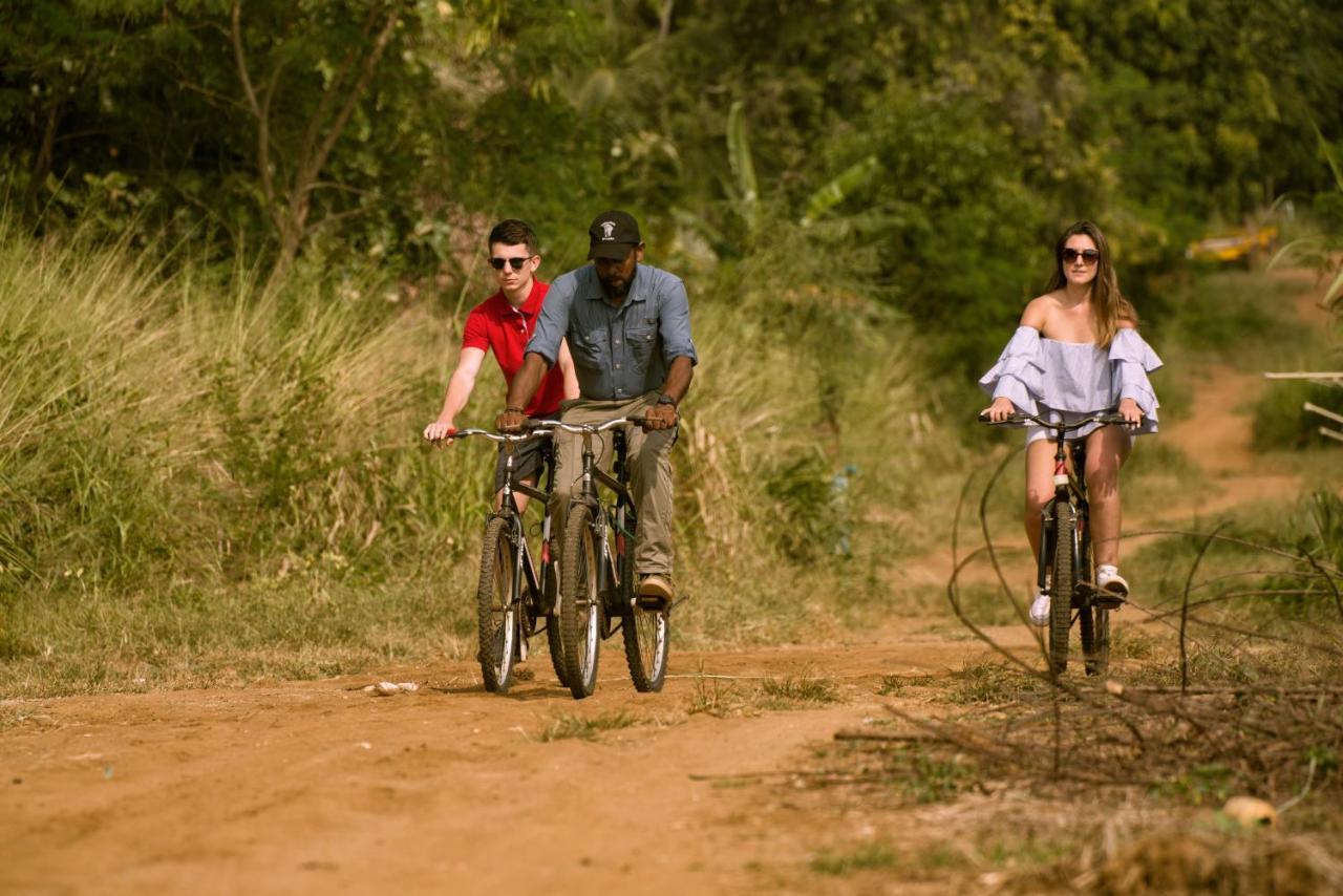 ホテル Elephant Trail ウダワラウェ エクステリア 写真