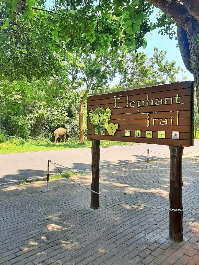 ホテル Elephant Trail ウダワラウェ エクステリア 写真